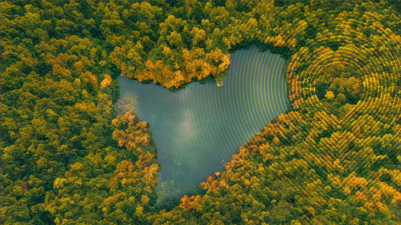 Sustainability report builds business credibility