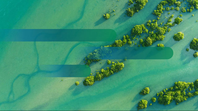 Designing a sustainability report for a global business leader