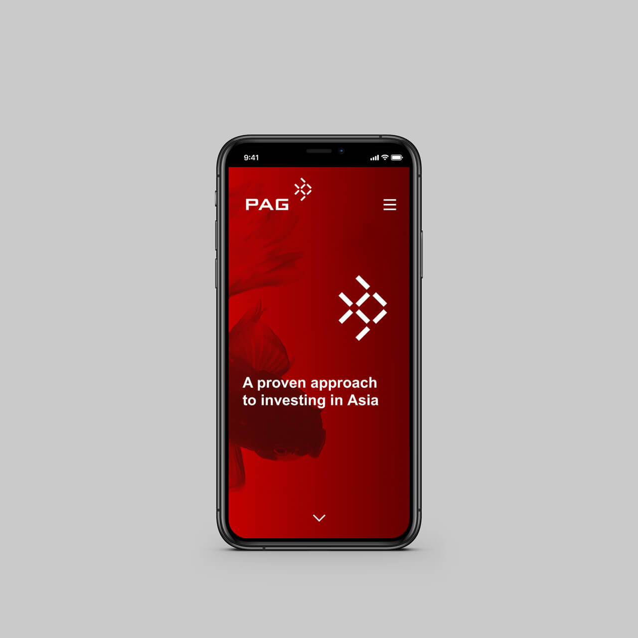 /pag-rebrand-digital-mobile