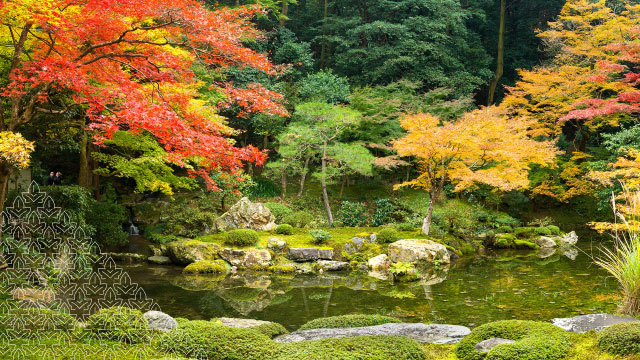 A hospitality brand in Japan turns over a new leaf