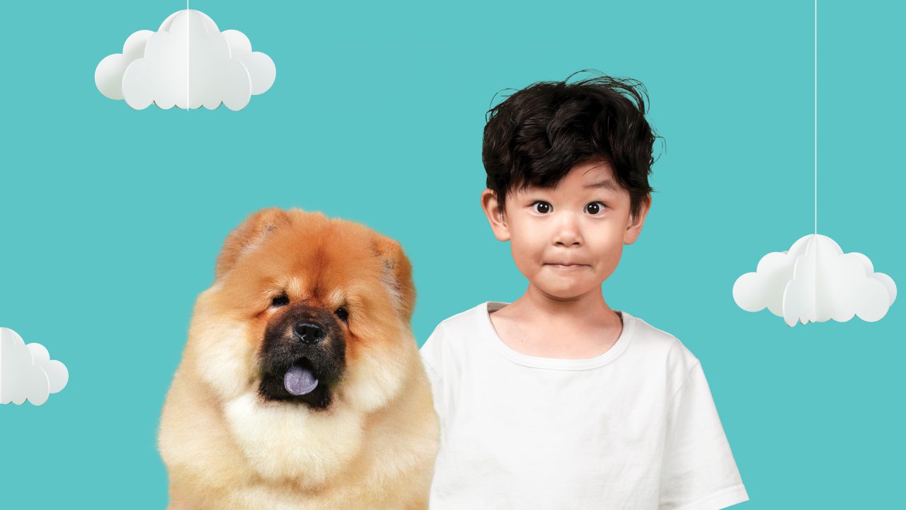 New brand direction brings greater recognition